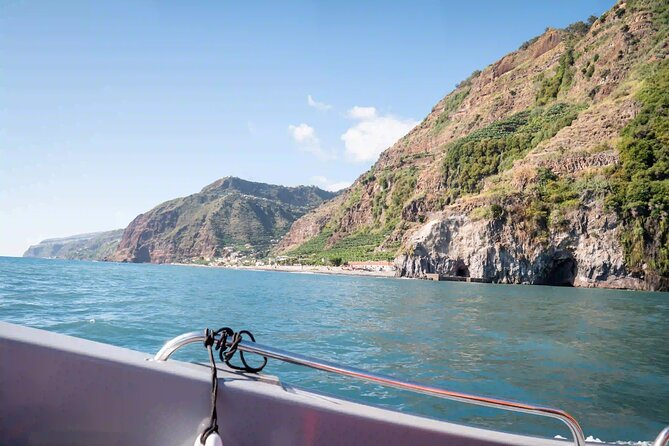 Funchal: Speedboat tour- SEE THE ISLAND AND LIFE AT SEA - Madeira’s cliffs, terraces, and small coves