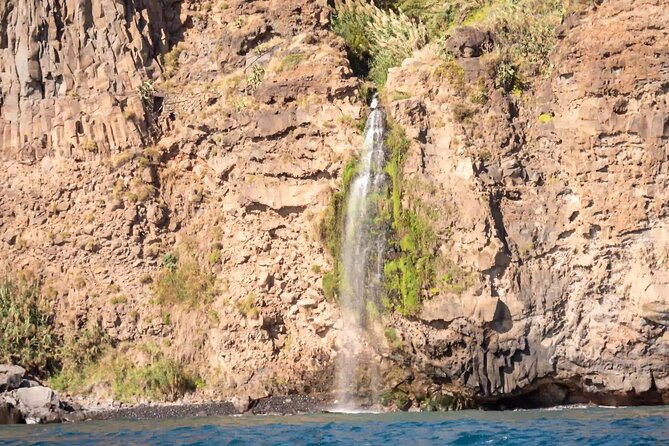 Funchal: Speedboat tour- SEE THE ISLAND AND LIFE AT SEA - Is $46.26 a fair price?