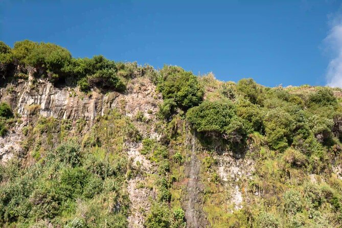 Funchal: Speedboat tour- SEE THE ISLAND AND LIFE AT SEA - Who will enjoy this speedboat ride most?
