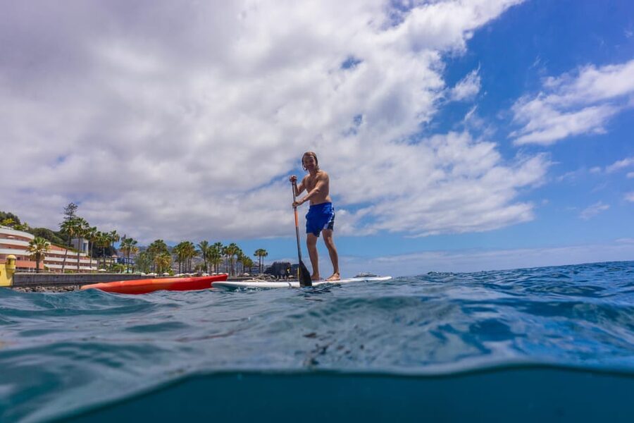 Funchal: SUP Rental or Guided tour with snorkeling - Paddling on Funchal’s Atlantic water