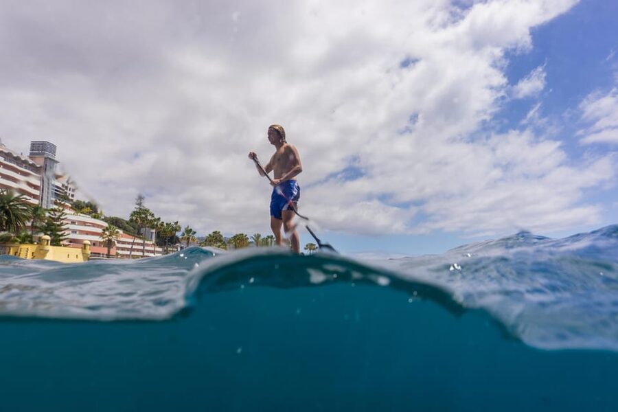 Funchal: SUP Rental or Guided tour with snorkeling - How the $34 price measures up