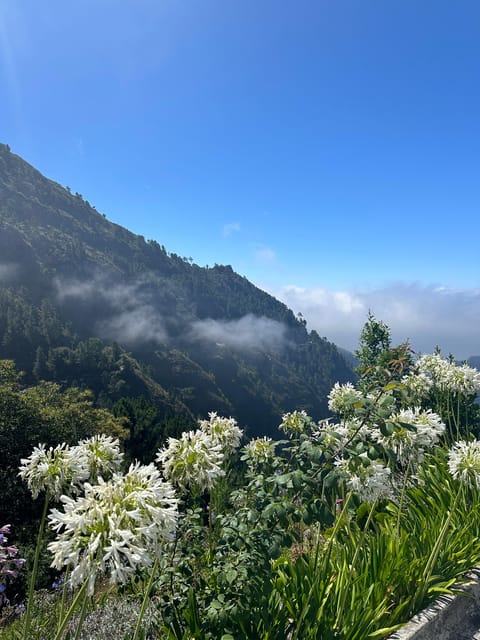 Funchal: Valley of the Nun’s tour by tuk tuk - Key points to know before you book