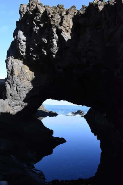 Funchal: Waterfalls, Volcanic Pools, and Fanal Forest Tour - Fanal Forest and the laurel trees of Madeira