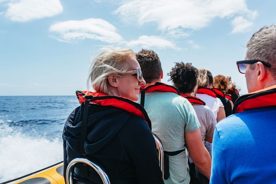Funchal: Whale and Dolphin Watching Speed Boat Tour - Booking advice for your Madeira itinerary
