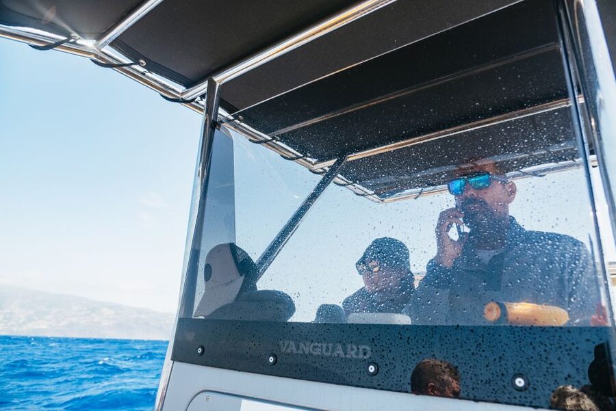 Funchal: Whale and Dolphin Watching Speed Boat Tour - What the marine biologist adds