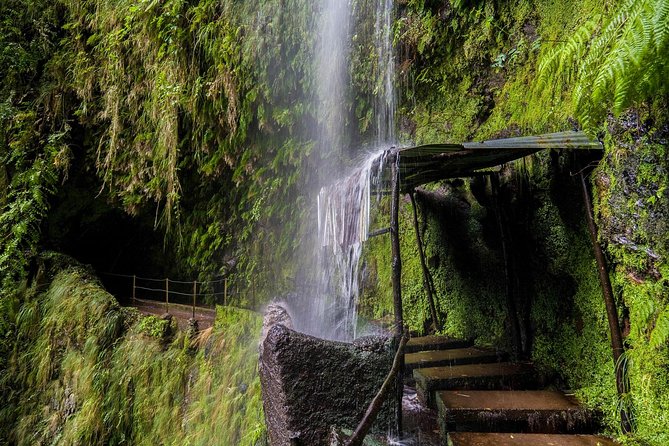 Green Cauldron - Starting at Queimadas Guesthouse