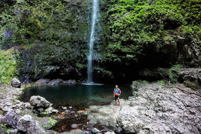Green Cauldron - Who will enjoy this Madeira walk most