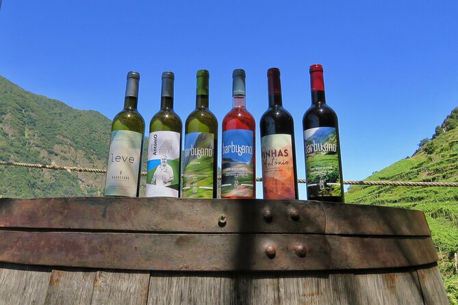 Guided 4x4 Adventure and Skywalk with Wine and Tapas in Madeira - Key points to know before booking