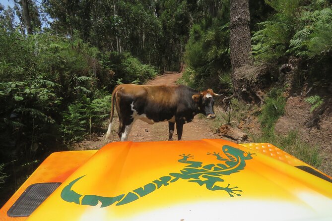Guided Exploration of Southwest Madeira in a 4x4 - Key points at a glance