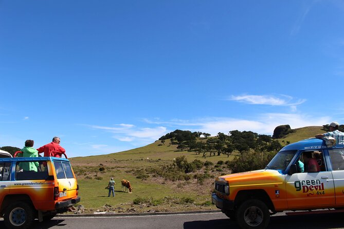 Guided Exploration of Southwest Madeira in a 4x4 - Paul do Mar keeps the ocean close
