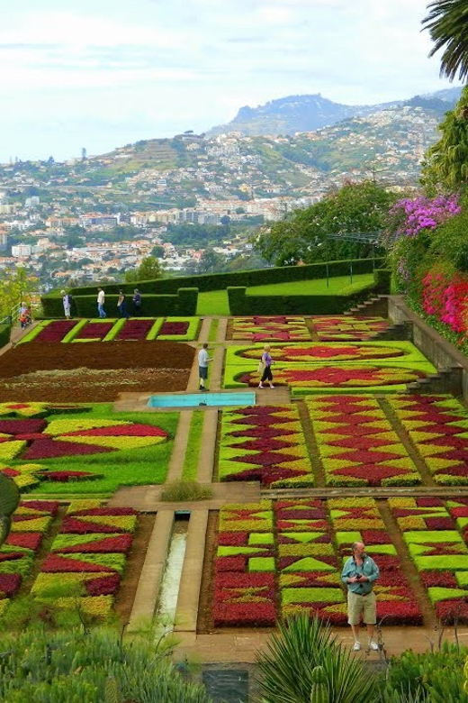 Guided Tuk-Tuk Tour to Botanical Garden (From Funchal) - From Avenida do Mar to Funchal’s upper slopes
