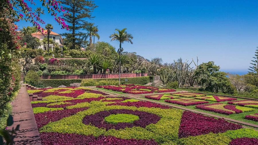 Guided Tuk-Tuk Tour to Botanical Garden (From Funchal) - Arriving at the Madeira Botanical Garden