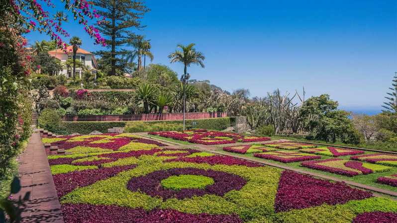 Guided Tuk-Tuk Tour to Botanical Garden (From Funchal) - Seeing Funchal from the road