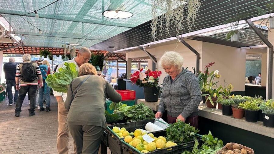 Half-Day Country Market Tour on Madeira Island - Key points to know before booking