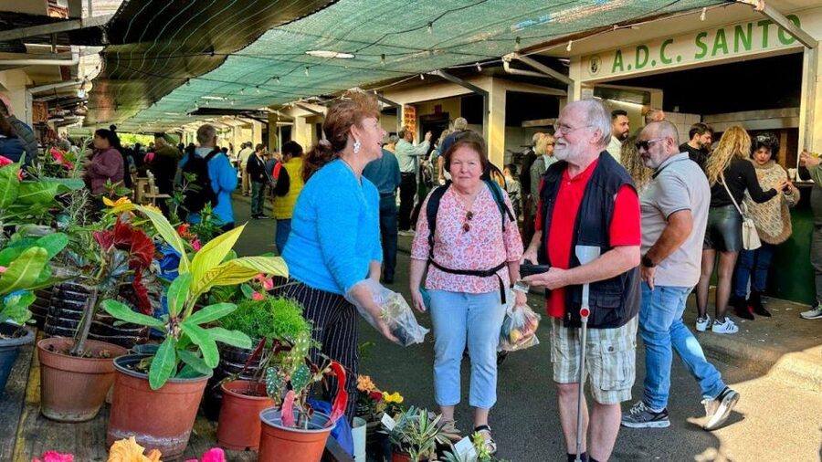 Half-Day Country Market Tour on Madeira Island - Is $29 good value?