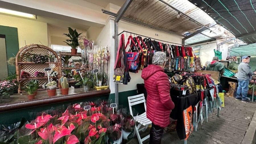 Half-Day Country Market Tour on Madeira Island - Cristo Rei at Ponta do Garajau
