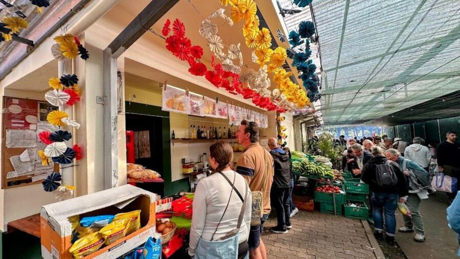 Half-Day Country Market Tour on Madeira Island - Guides, vehicles, and the pace of the morning