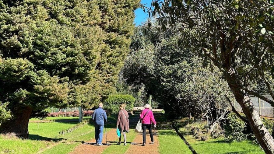 Half-Day Country Market Tour on Madeira Island - Who will get the most from this tour