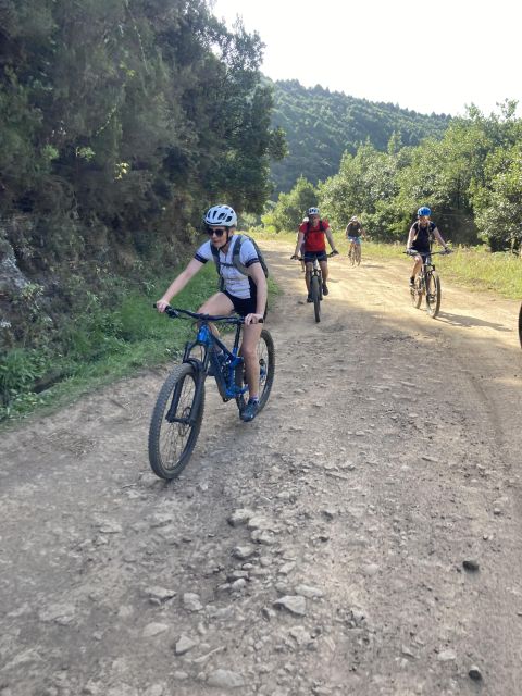 Half-Day Cross-Country Mountain Biking in Madeira - Bike, safety gear, photos, and insurance