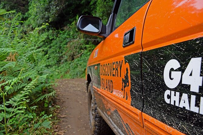 Half Day Jeep Safari Tour at Pico Areeiro and Santo da Serra - Guides who add more than directions