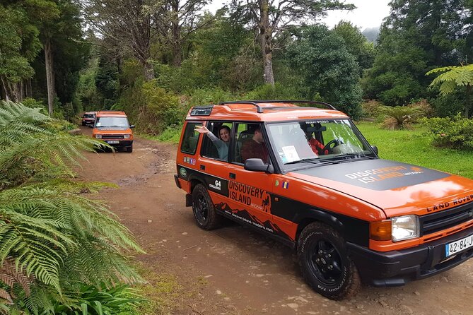 Half Day Jeep Safari Tour at Pico Areeiro and Santo da Serra - Weather, clothing, and practical planning