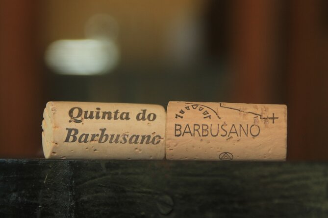 Half day jeep Wine tour and tasting, & sea cliff adventure - Quinta do Barbusano is the tour’s main event