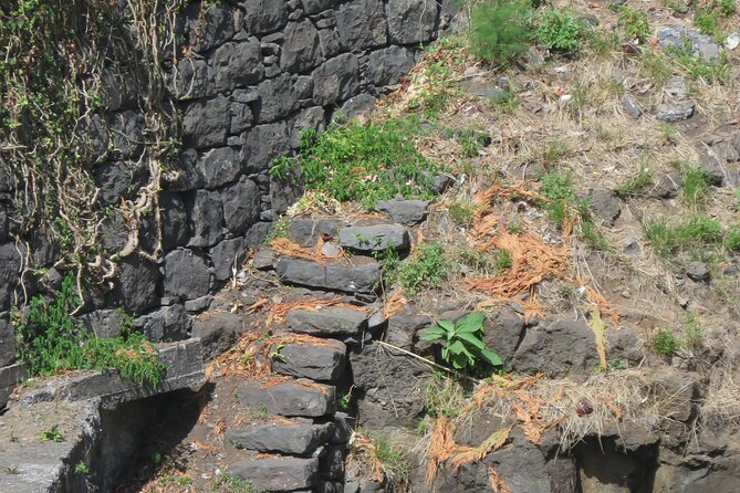 Half day jeep Wine tour and tasting, & sea cliff adventure - Who will enjoy this Madeira outing most