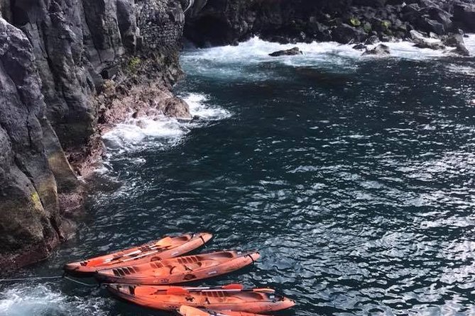Half day kayak tours - From Funchal harbor to the Garajau reserve