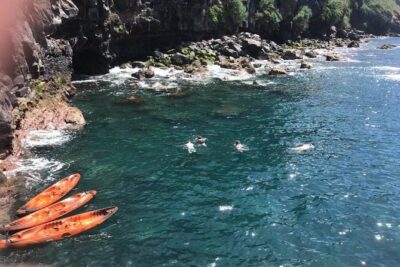 Half day kayak tours