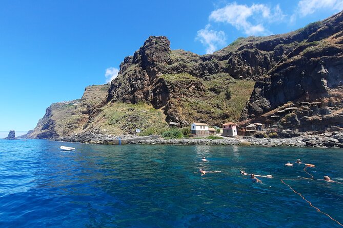Half Day Madeira Island Cruise with Lunch - Dolphins, whales, turtles, and flying fish