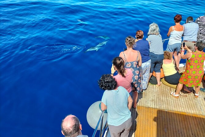 Half Day Madeira Island Cruise with Lunch - Crew service and the family-run feel