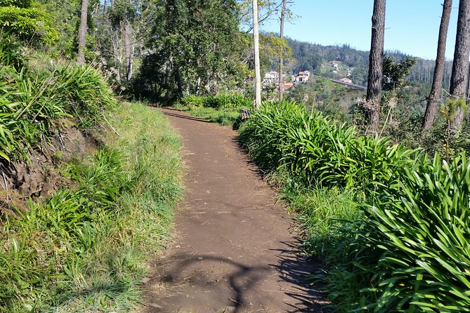 Half-Day Paradise Valley Walking Tour - Key points to know before booking