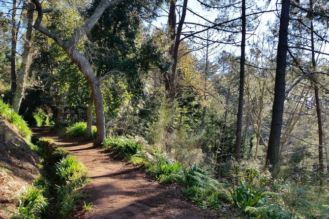 Half-Day Paradise Valley Walking Tour - Starting at Vale do Paraíso above Camacha
