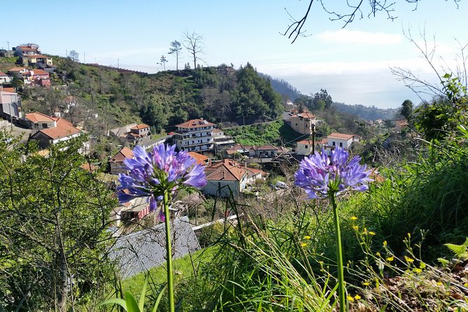 Half-Day Paradise Valley Walking Tour - What the guide adds to a two-hour walk