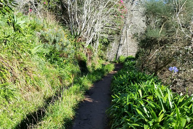 Half-Day Paradise Valley Walking Tour - Rochão is the finish, not a lunch stop