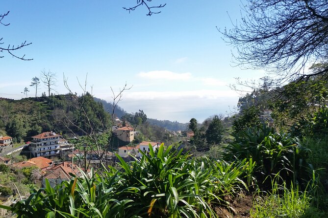 Half-Day Paradise Valley Walking Tour - Is $40.22 a fair price?