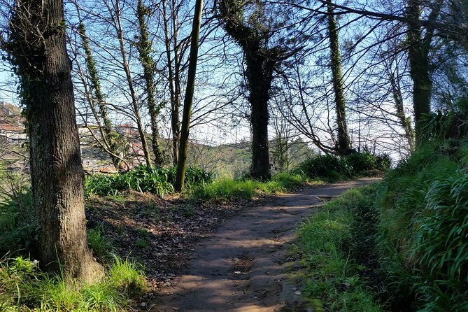 Half-Day Paradise Valley Walking Tour - An easy route for a first Madeira walk