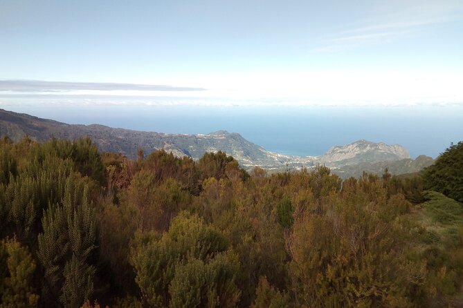 Half-Day Private Sidecar Tour on Madeira’s West Coast - Calheta: beach and a taste of rum production