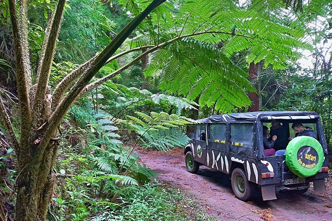 Half-Day Small-Group Madeira Village Safari from Funchal - Key points to know before you book