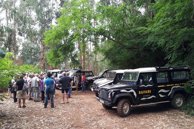 Half-Day Small-Group Madeira Village Safari from Funchal - Narrow village roads and the short rough-track ride