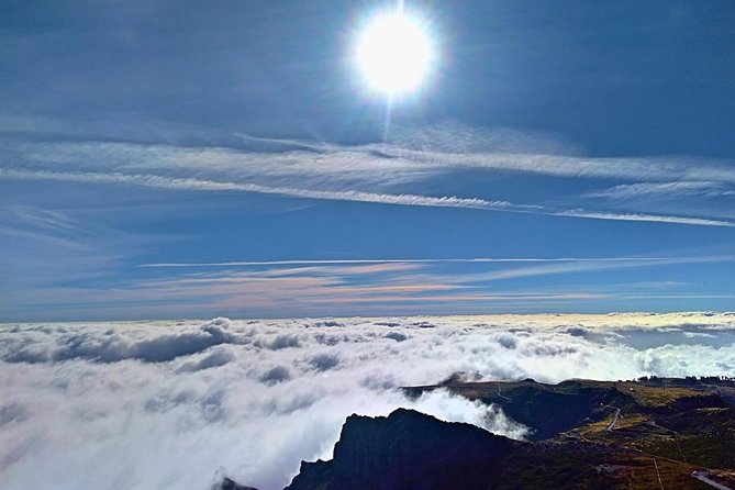Half-Day Small-Group Madeira Village Safari from Funchal - Pickup, timing, and cruise ship planning