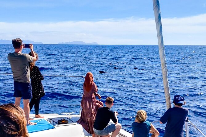 Half Day Tour on a Luxury Catamaran on Madeira Island - Crew service can shape the whole trip