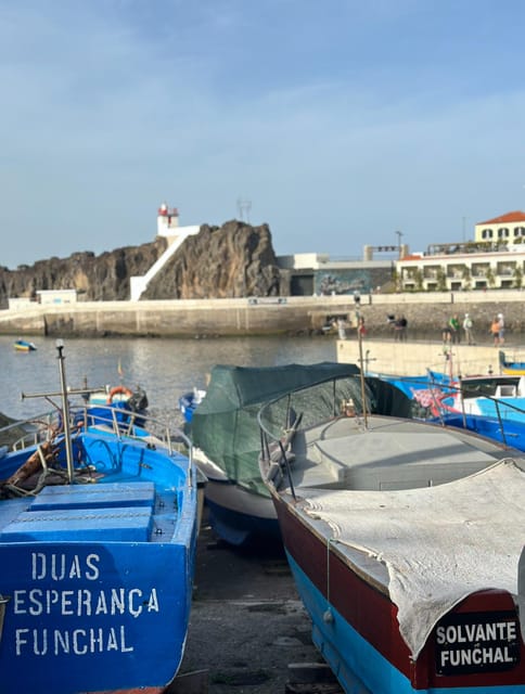 Half Day Tour with Madeira Wine Tasting - Key points to know before booking