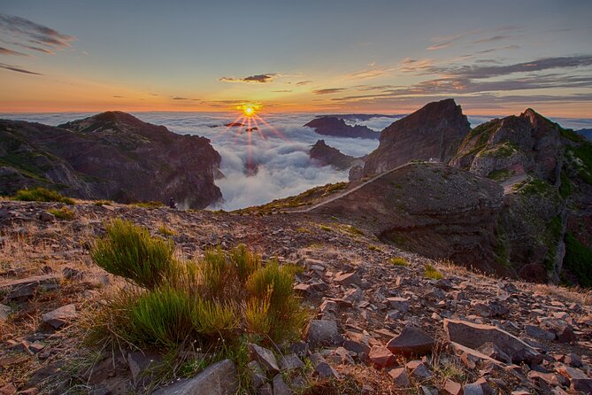 Heavens Tour: Sunset & Stargazing in Madeira - Who will get the most from this tour