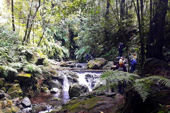 Hidden Corners: Levada Walk from Funchal - Starting from Funchal at 8:30 or 9am