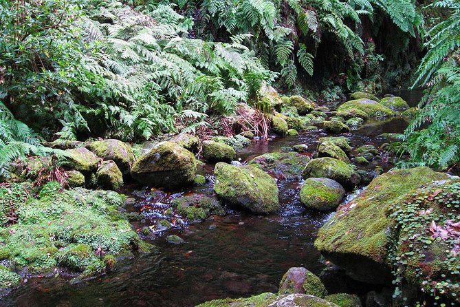 Hidden Corners: Levada Walk from Funchal - The waterfall stop and what to expect