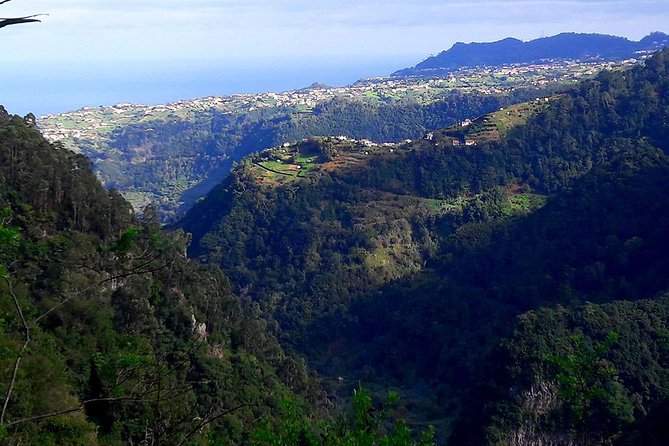Hidden Corners: Levada Walk from Funchal - Plants, water, and the value of a guide