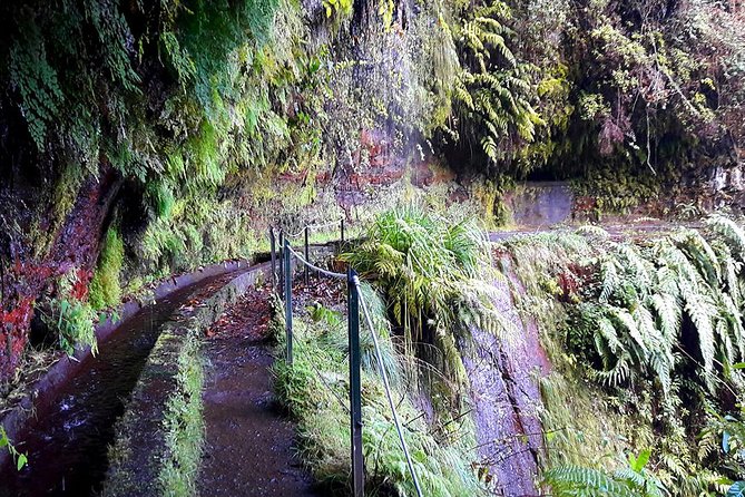 Hidden Corners: Levada Walk from Funchal - What to pack for an eight-hour outing