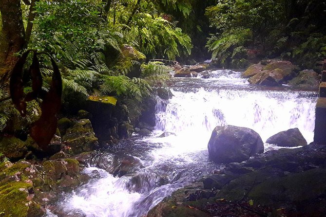 Hidden Corners: Levada Walk from Funchal - Fitness, comfort, and the less-developed side of Madeira