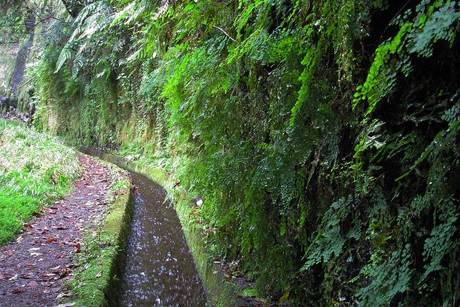 Hidden Corners: Levada Walk from Funchal - Is $51.61 a fair price?